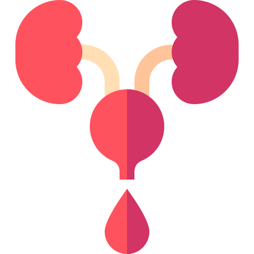 Urinary Incontinence & Bladder Issues